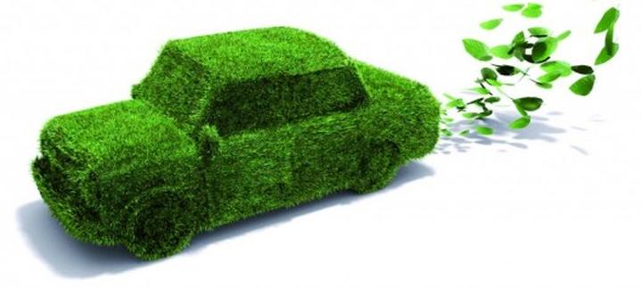 Ekologiczne skutki emisji spalin