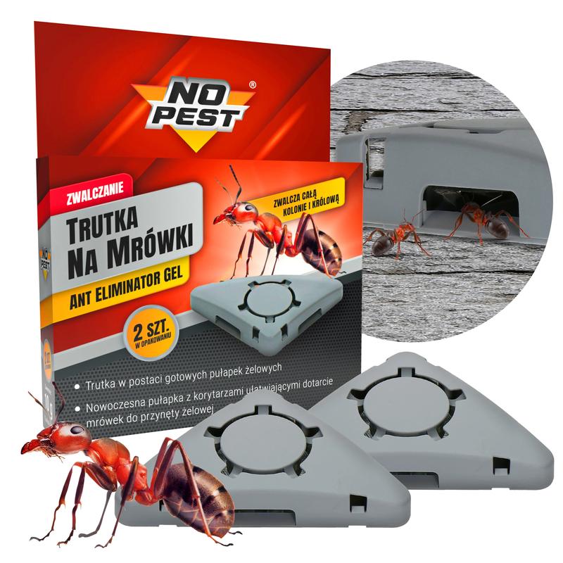 Mrówki w samochodzie