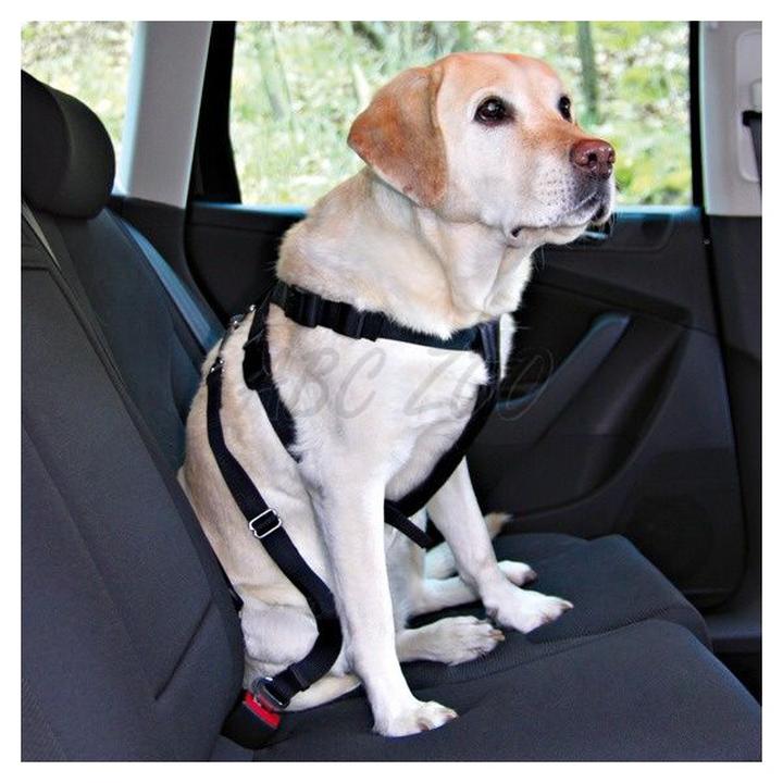 Zmiany w przepisach drogowych 2026