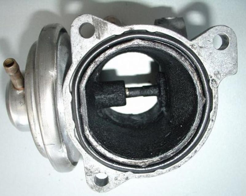 Działanie i rola EGR