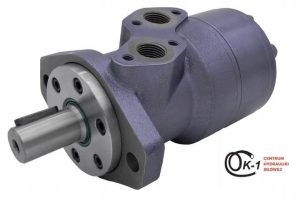 Jak ocenić, czy silnik bierze olej przed zakupem samochodu?