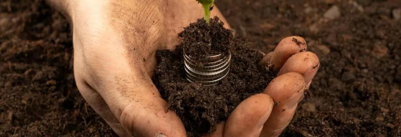 Jak obliczyć koszt benzyny