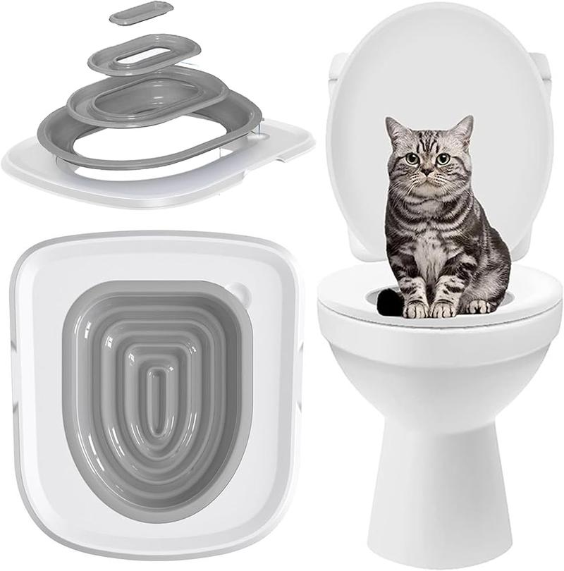 Oswajanie kota z transporterem i samochodem