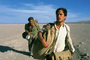 Gdzie obejrzeć najlepsze dzienniki motocyklowe?